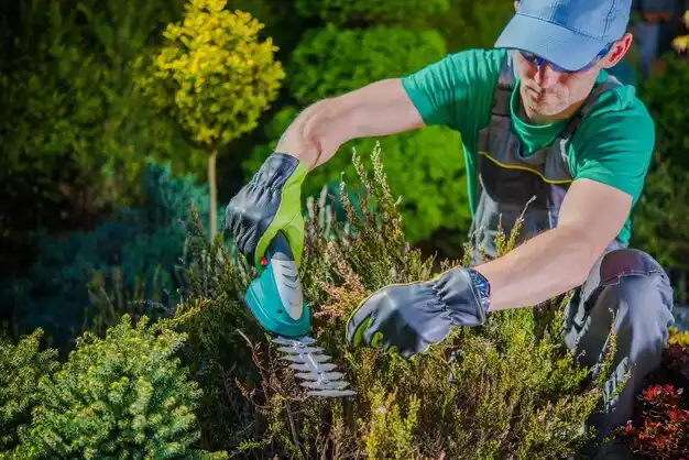 landscaping services Bethany